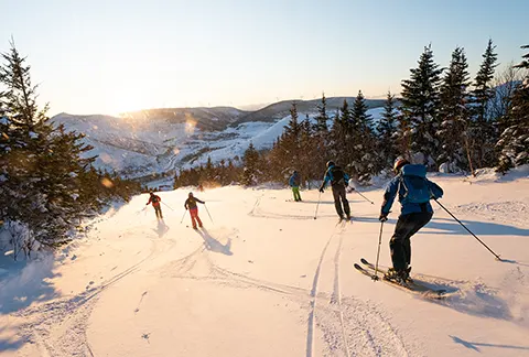 Maitrise du ski alpin