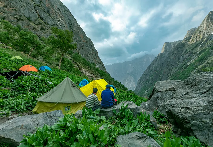 Preservation de la biodiversite en zone alpine